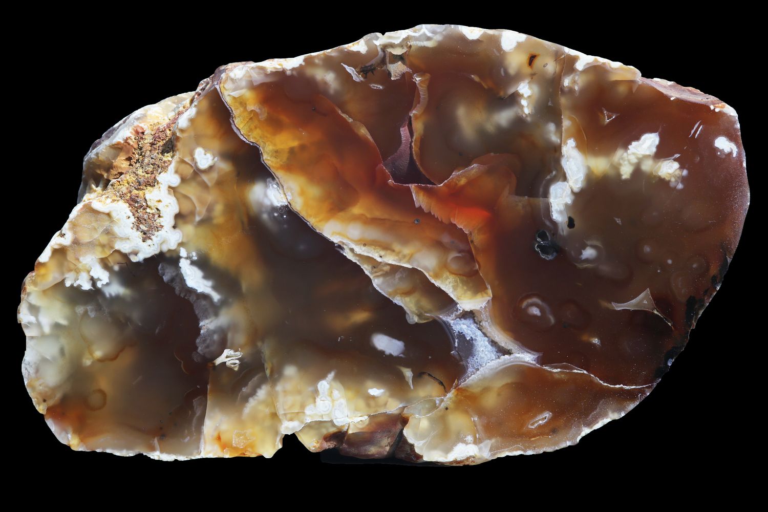 Carnelian Agate with plumes
