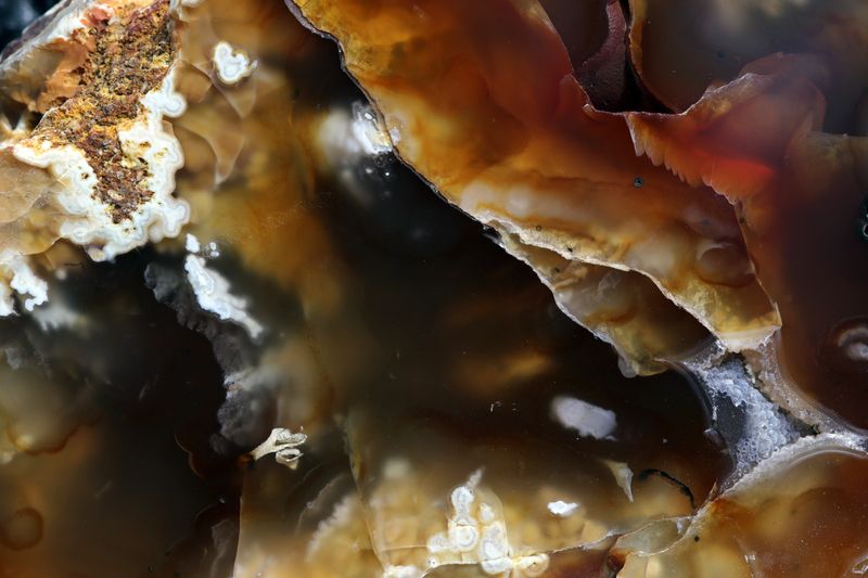 Carnelian Agate with plumes