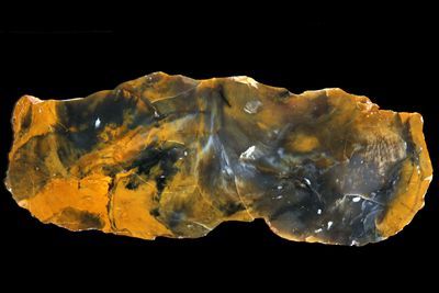 Petrified wood. Very large. Rare and collectable (Large 4.35kg, 37cm wide)