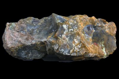 Petrified wood. Very large. Rare and collectable (Large 4.35kg, 37cm wide)