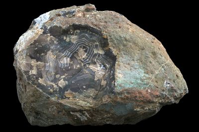 Heavily Fortified Agate with mineralised edge (large 3.34kg)
