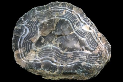 Heavily Fortified Agate
