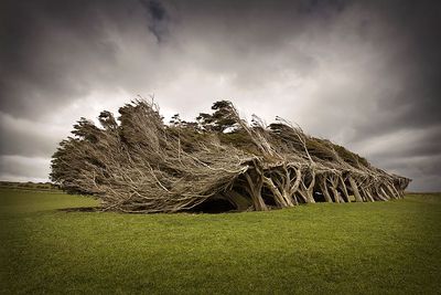 Landscapes