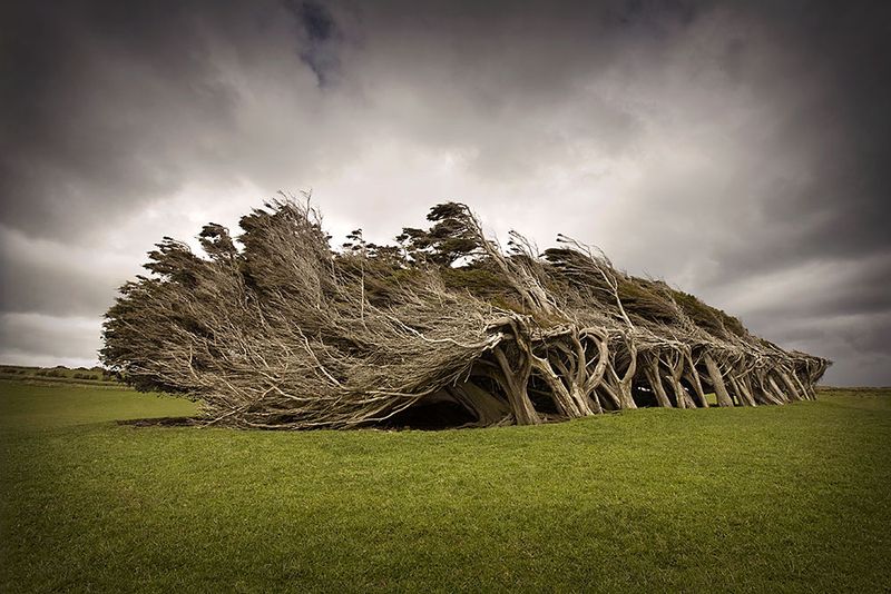 Landscapes