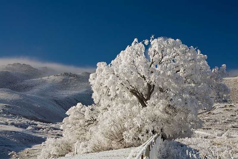 Winter Wonderland