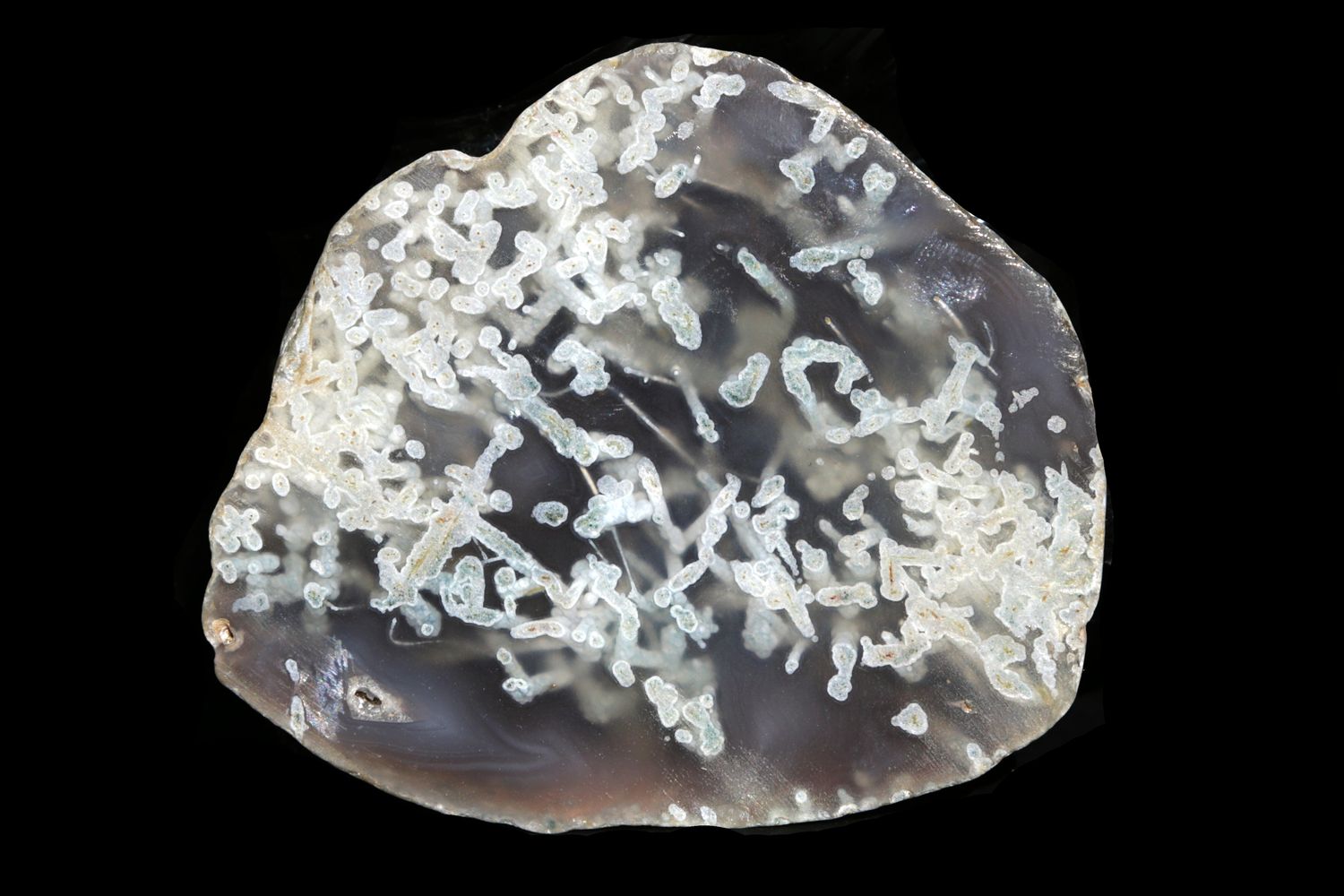 White tubular Moss Agate floating inside a grey Agate