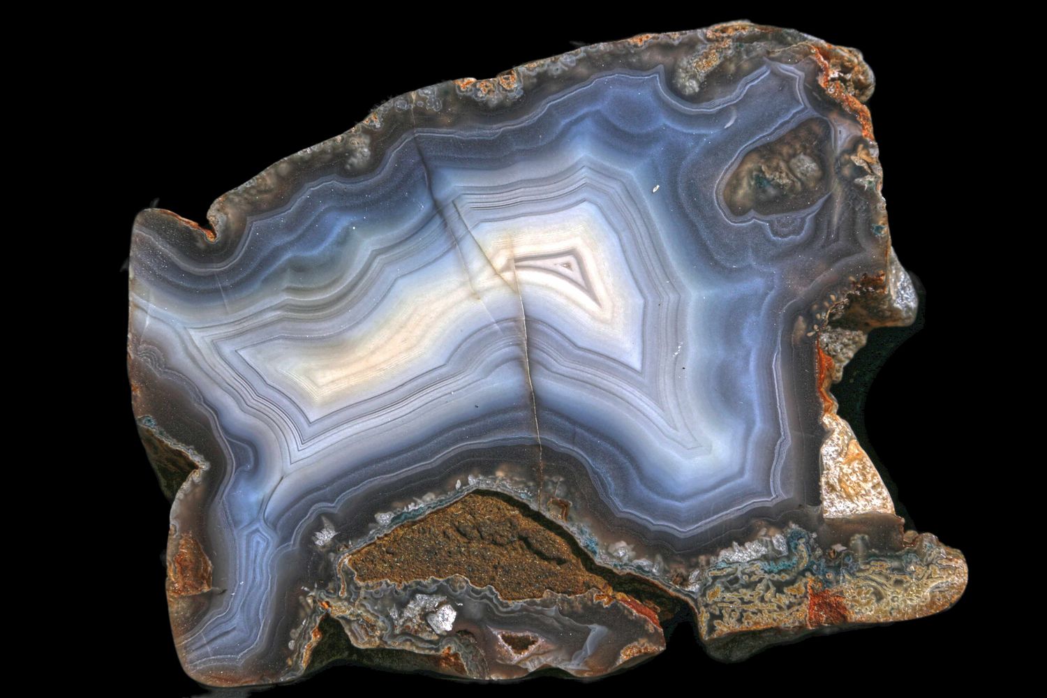 White Fortification Agate with bold lines