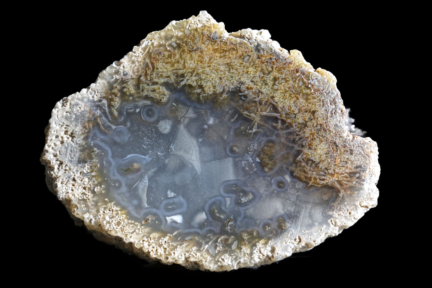 Lightly Fortified Moss Agate.  Very unusual