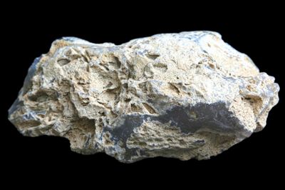 Plume Moss Agate with light Grey Fortification