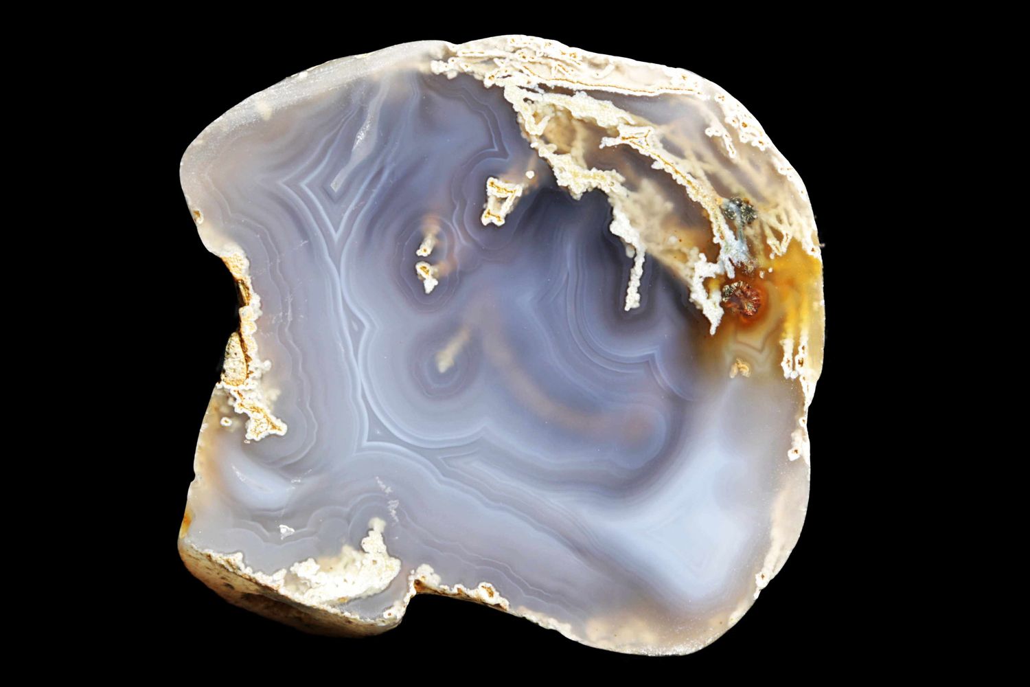 Light Fortification Agate with Moss and a small Pyrite flower