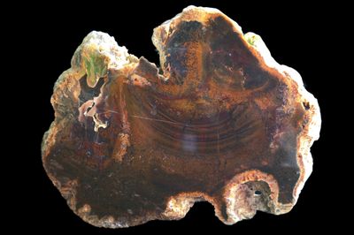 Jasper Agate Slab. Dense Moss with Botryoidal Geode on one side Jasper Agate Slab. Dense Moss with Botryoidal Geode on one side
