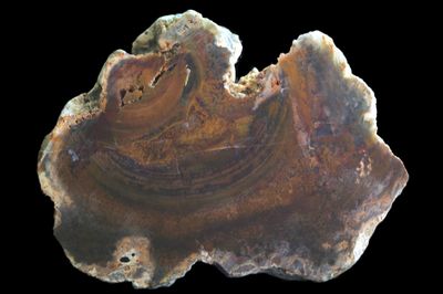 Jasper Agate Slab.  Dense Moss with Botryoidal Geode on one side