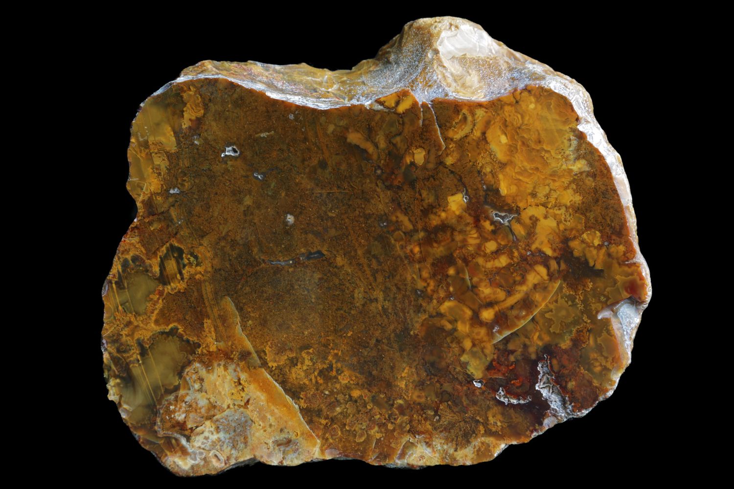 Jasper Agate.  Golden coloured with Agate inclusions  (1.37 kg)