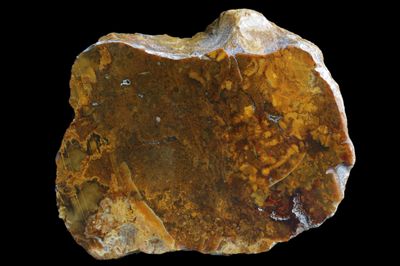 Jasper Agate.  Golden coloured with Agate inclusions  (1.37 kg)