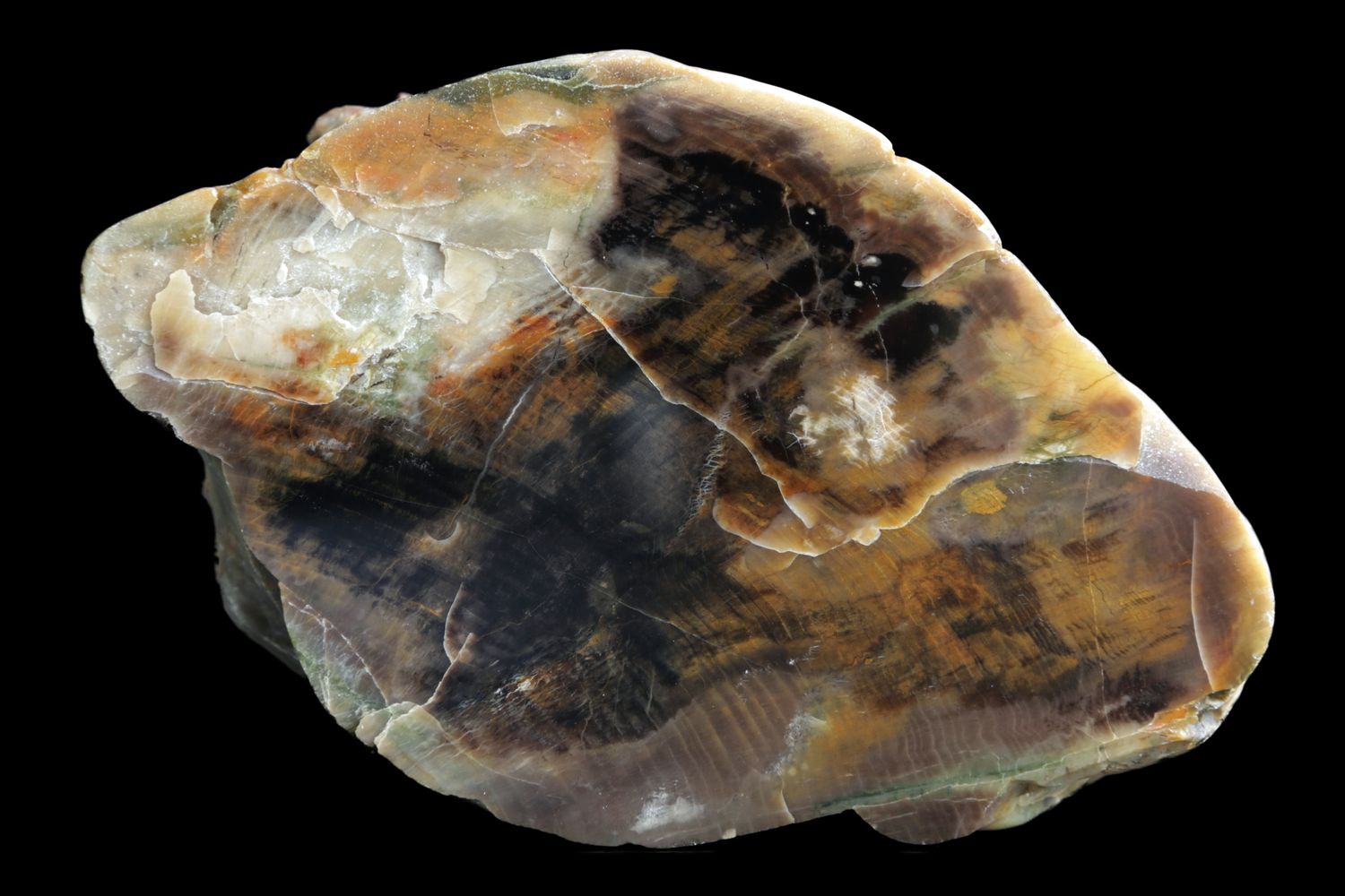 Agatized Wood.  Nice Grain.  Multi Coloured