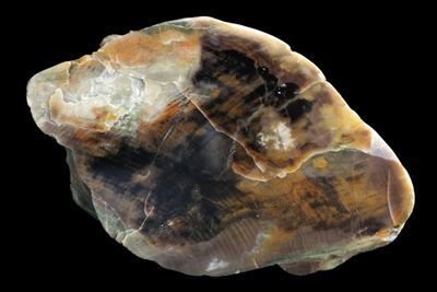 Agatized Wood.  Nice Grain.  Multi Coloured