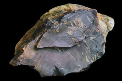 Agatized Wood.  Nice Grain.  Multi Coloured