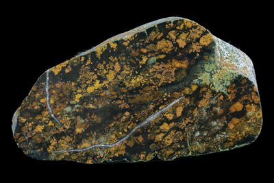 Chert and Plasma Jasper