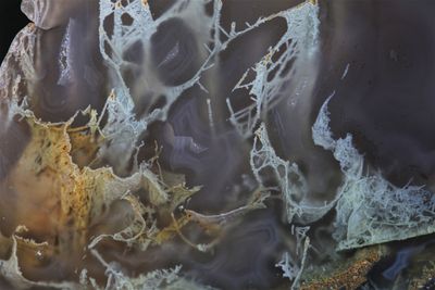 Moss Agate, Aquarium Agate. Flawless Agate (1kg) RARE