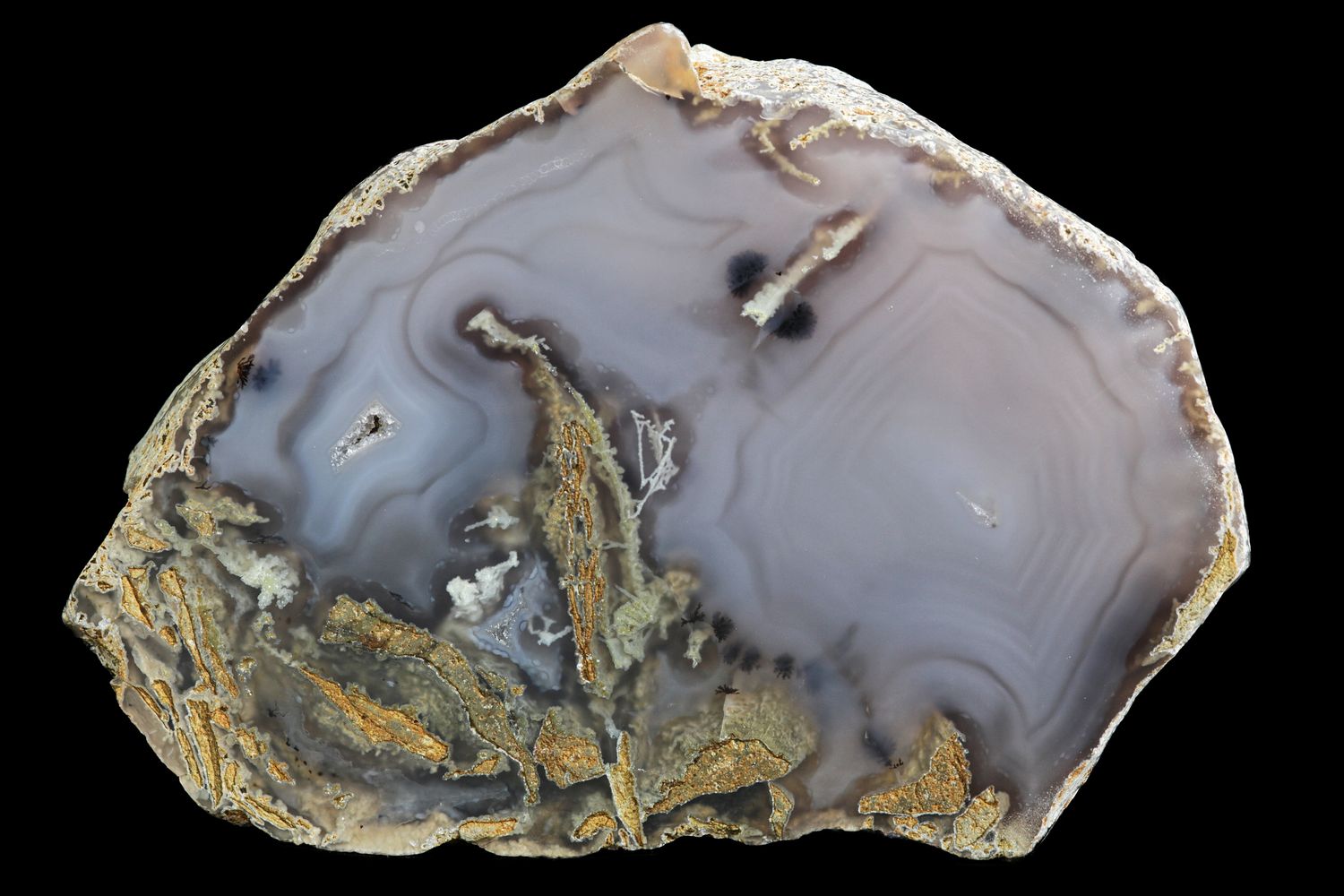 Agate with Black Dendrite inclusions, light fortifications, Brecciated