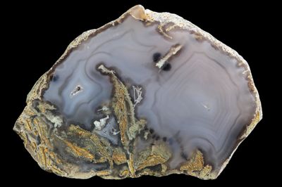 Agate with Black Dendrite inclusions, light fortifications, Brecciated