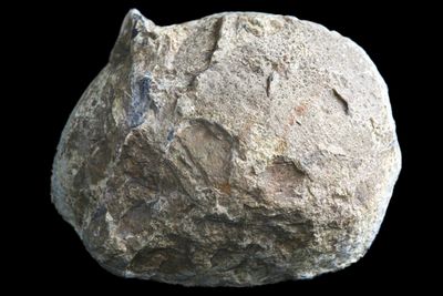 Light Fortification Agate with a deep sparkly Geode