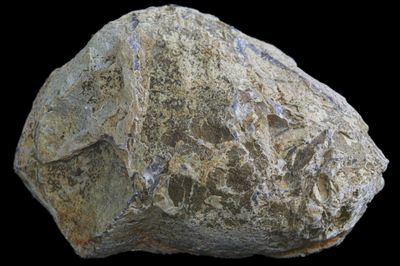 Agate with Black Dendrite inclusions, light fortifications, Brecciated