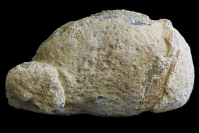 Fortification Agate with small bulls eyes, and a small Geode in it