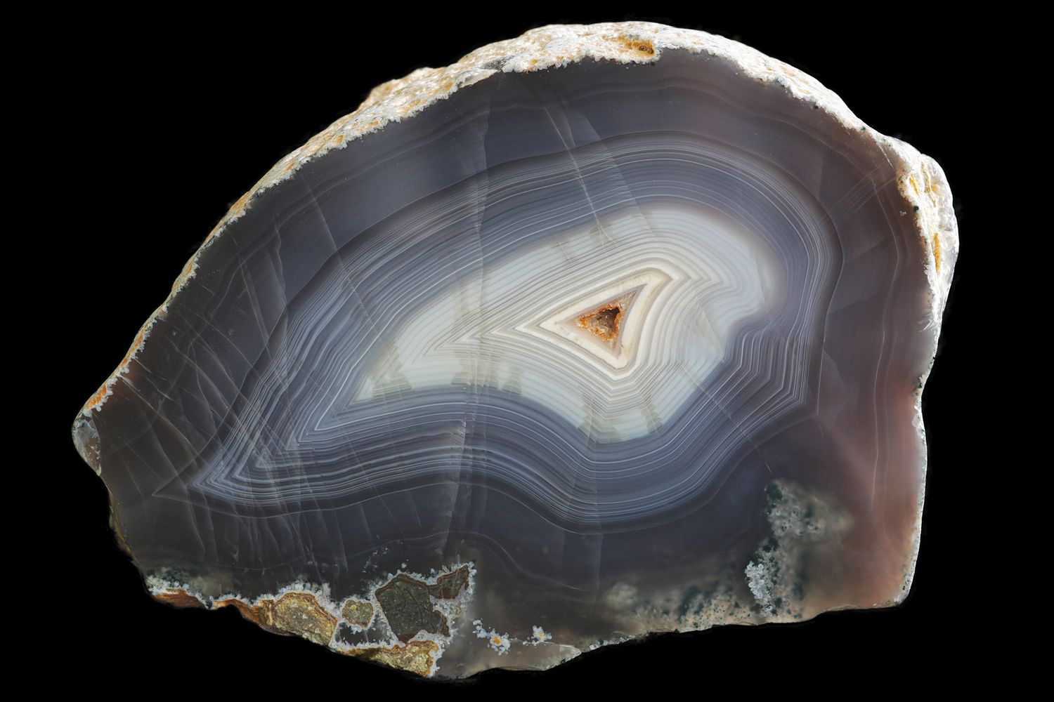 Red Skinned bold Fortification Agate with alternating layers