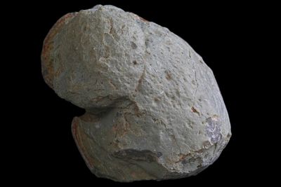 Moss Agate, Grey Fortification, lovely transparency. Flawless