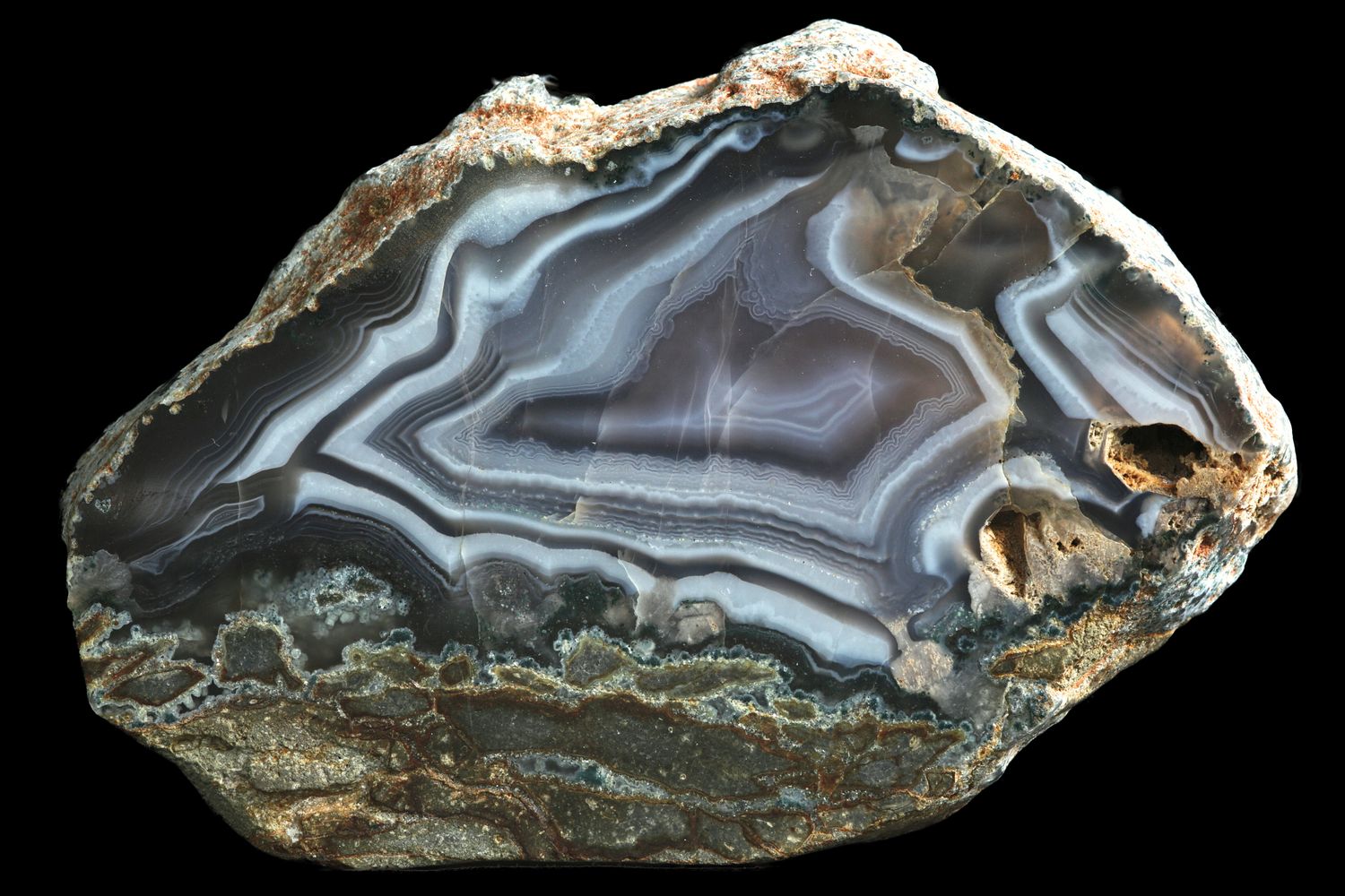 Bold white Fortification Agate
