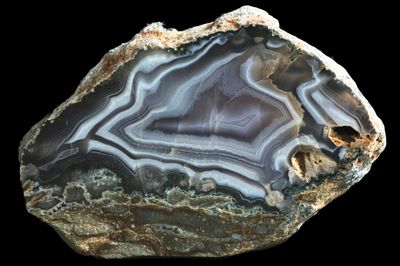Bold white Fortification Agate