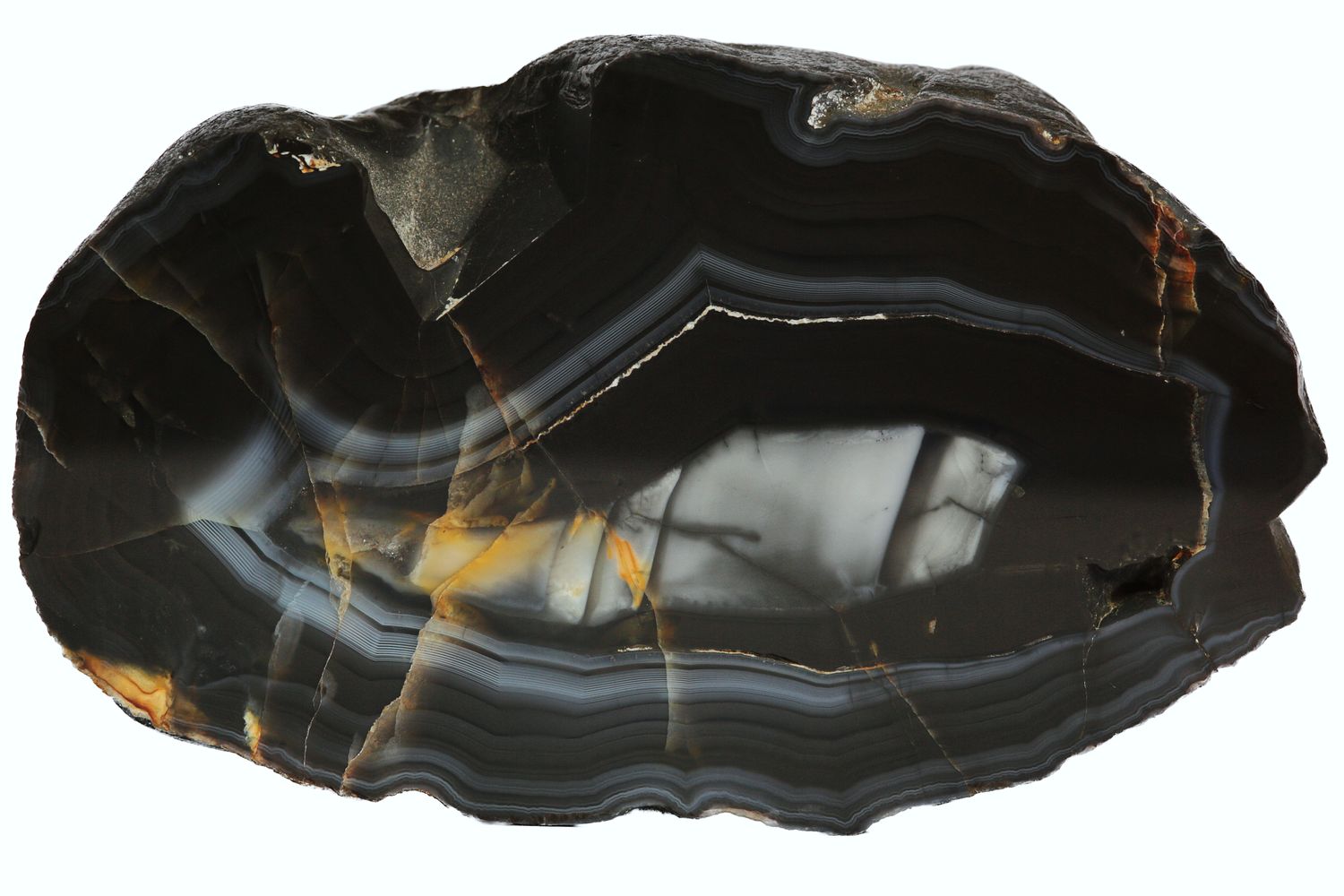 RARE Black Agate with fortification patterning and a banded white centre​