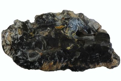 Black Agate, Botryoidal on the outside and white plumy edges​, RARE