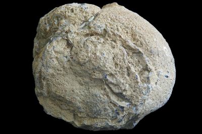 Fortification Agate, Drusy Geode &amp; Spiderweb Moss (1.145 kg)