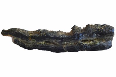 Black Agate, Fortification Agate with a small crystaline centre