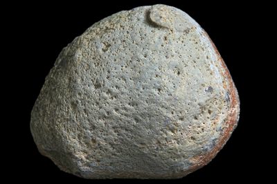 Light Fortification Agate with Mossy inclusions