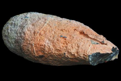 Light Fortification Agate, white centre, Mossy Plume, red skin (1.1 kg)