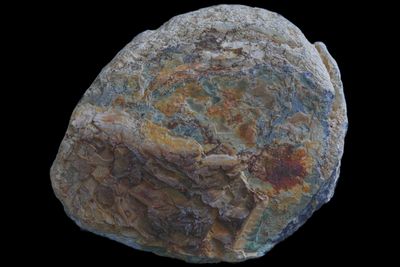 Moss Agate, multiple fortification centres, Pyrite inclusions