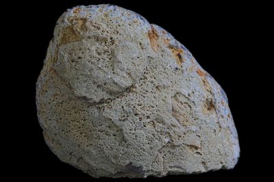 Light Fortification Agate.  Flawless Agate