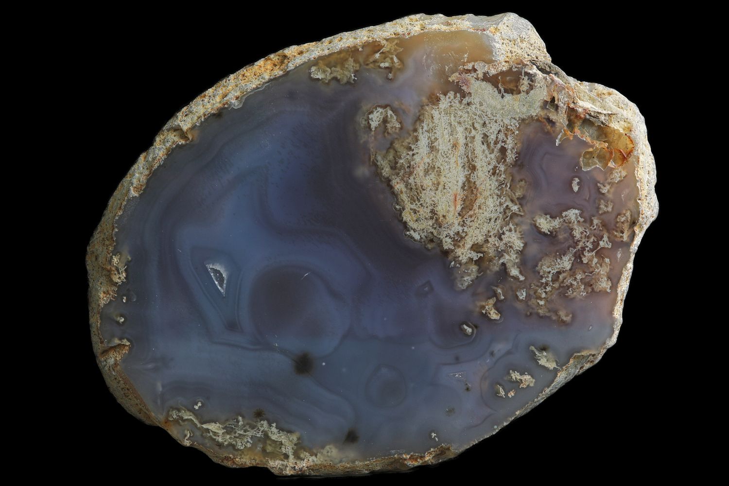 Fortification Moss Agate, with dendrite sprays