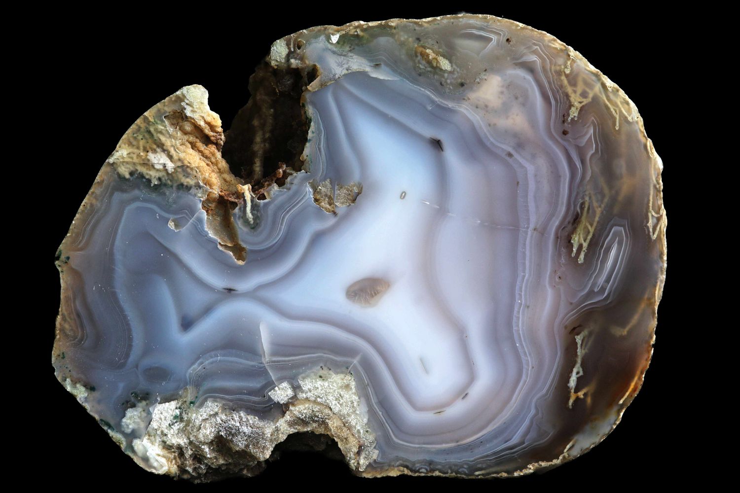 Bold Fortification Agate, white centre, Mossy Plumes around the edge