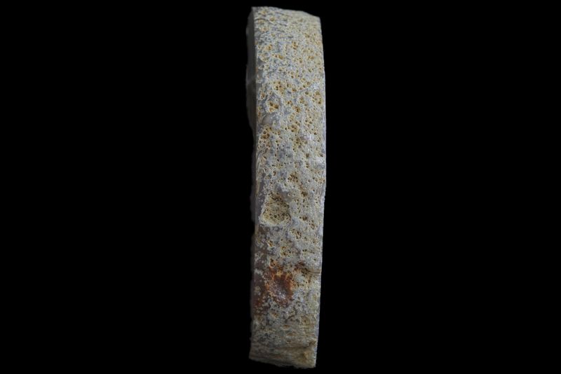 Bold Fortification Agate, white centre, Mossy Plumes around the edge