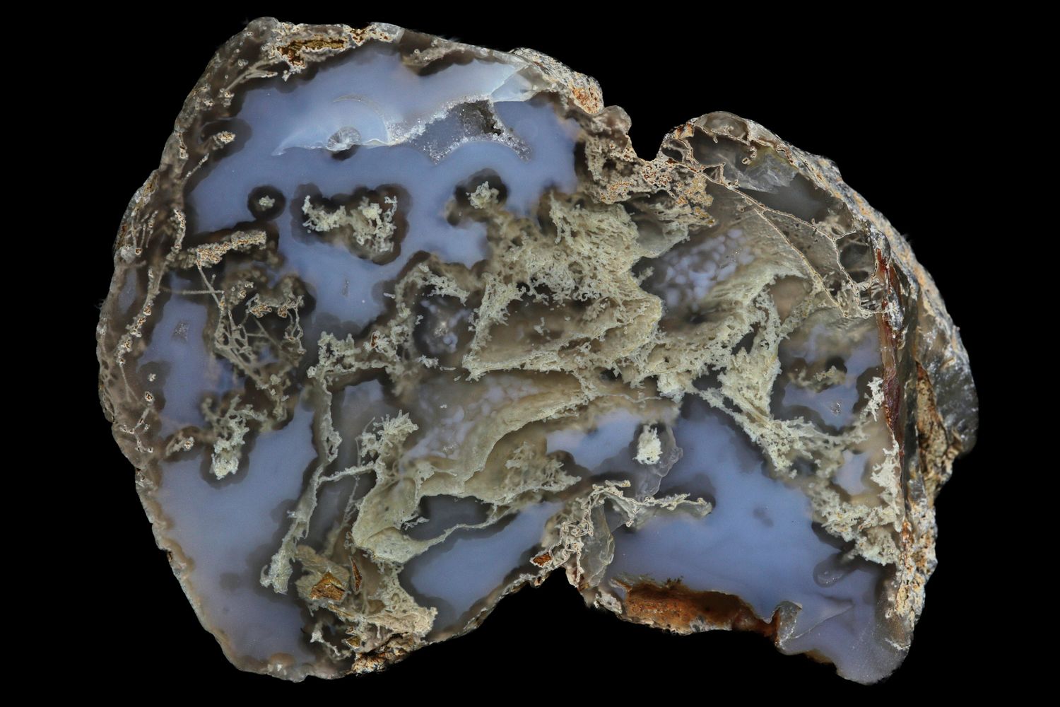 Moss multiple centred milky white Agate.  Quite sought after (This is a matching pair with #285)
