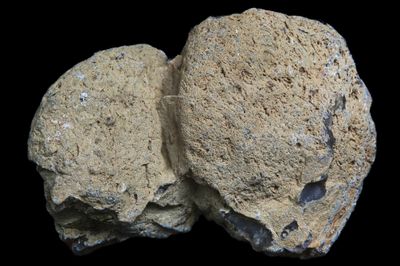 Moss multiple centred milky white Agate.  Quite sought after (This is a matching pair with #285)