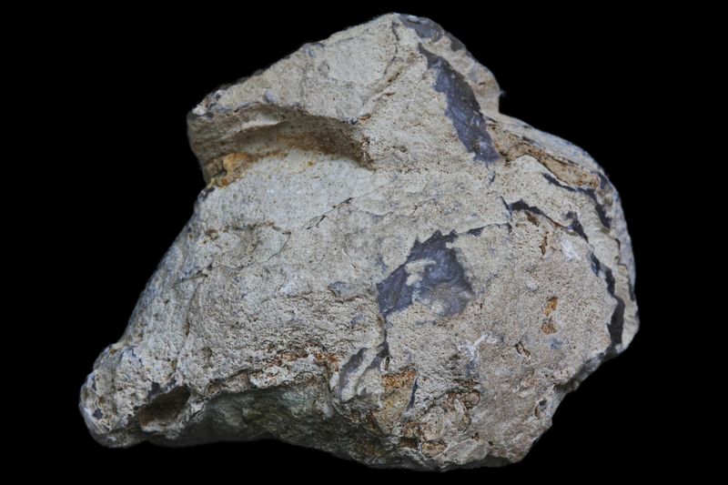 Fortification Agate with Druzy Quartz Geode, Dendrite around the margin of the crystal cavity.