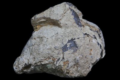 Fortification Agate with Druzy Quartz Geode, Dendrite around the margin of the crystal cavity.