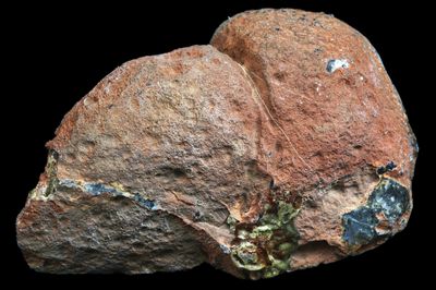 Red skinned Agate with bold white internal Fortification