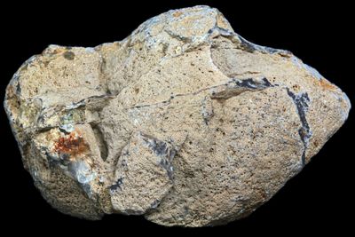 Moss Agate, Dendrite Flowers, Druzy Quartz Geode