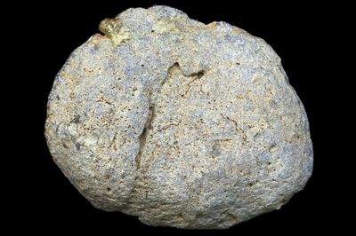 Multi centred Moss Agate with a small Druzy Geode